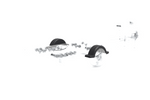 Komplet dveh blatnikov za 13-14" prikolico za čoln DOMAR D20422, blatniki 950/240mm
